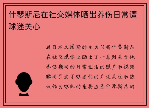 什琴斯尼在社交媒体晒出养伤日常遭球迷关心