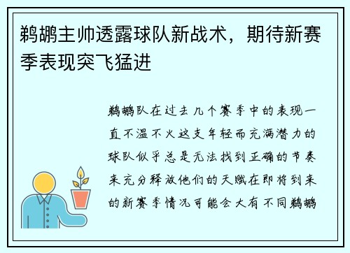 鹈鹕主帅透露球队新战术，期待新赛季表现突飞猛进