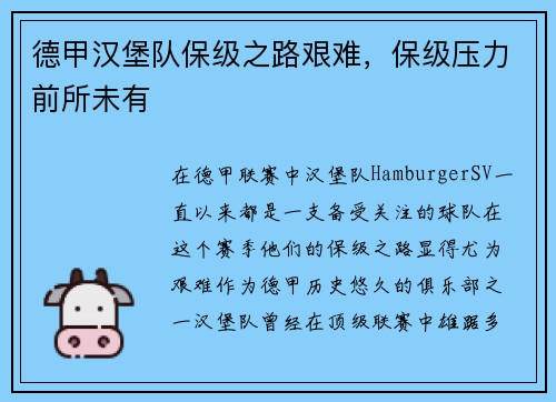 德甲汉堡队保级之路艰难，保级压力前所未有